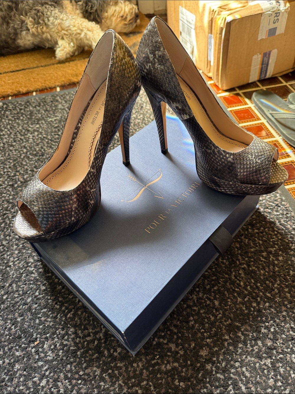 Pour La Victoire Multitone Snake-Print Peep-Toe Stilettos